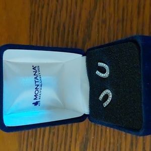 Horseshoe earrings